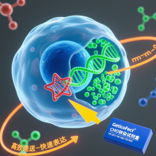 CHO高含量表达系统-CHO转染试剂盒